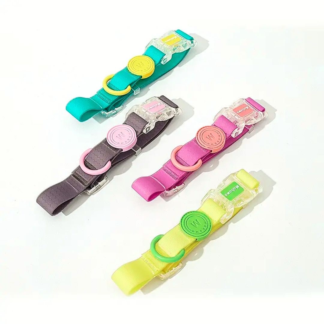 CandyCanine Waterproof Collar & Handsfree Leash Set - Lemon Lime