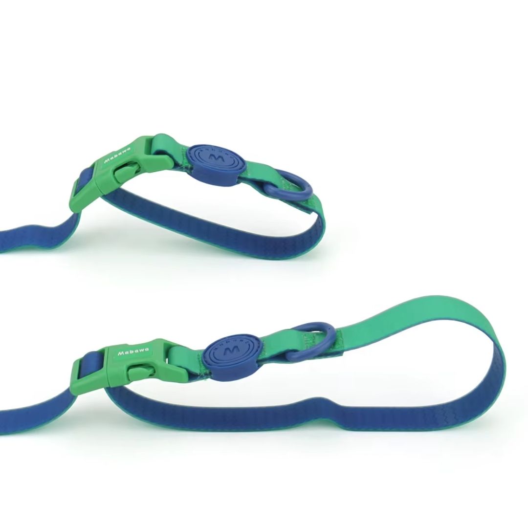 CandyCanine TwoTone Waterproof Harness & Leash Set - Blueberry Forest