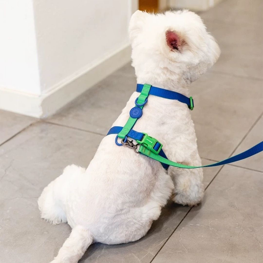 CandyCanine TwoTone Waterproof Harness