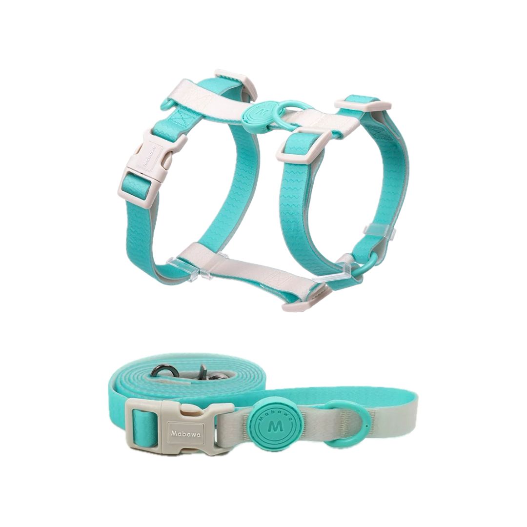 CandyCanine TwoTone Waterproof Harness & Leash Set - Misty Lagoon