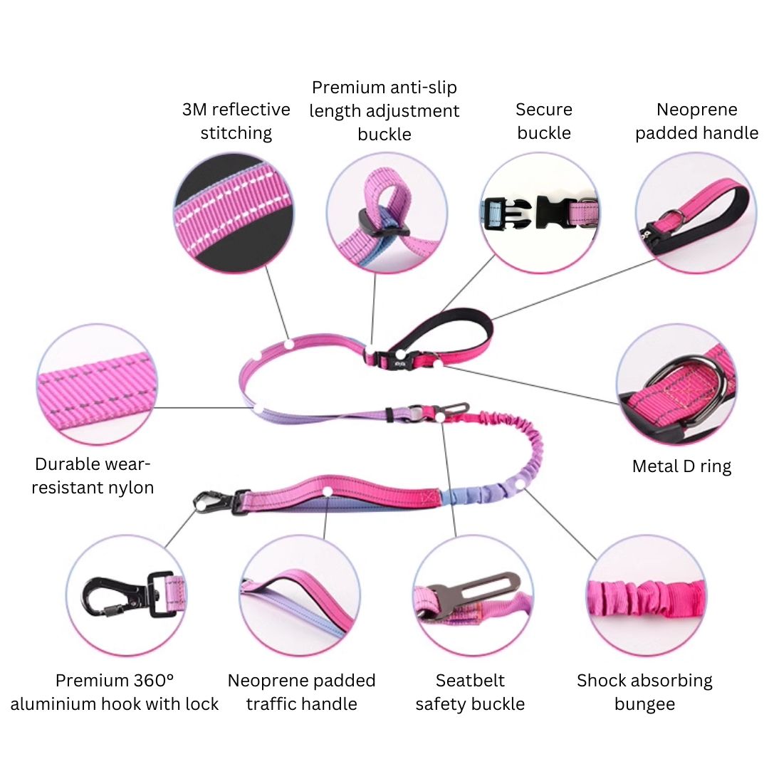 GentleStride Bungee Handsfree Leash