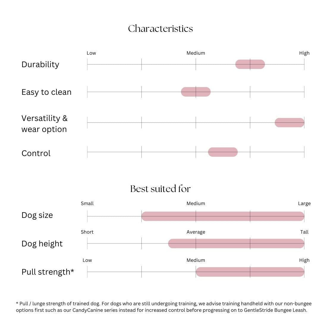 GentleStride Bungee Handsfree Leash