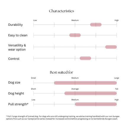 GentleStride Bungee Handsfree Leash