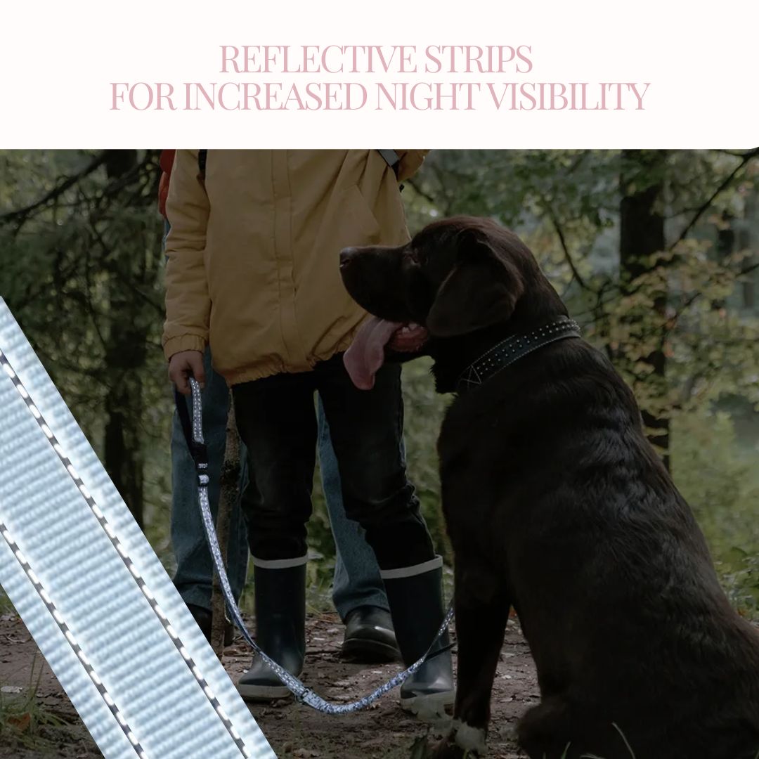 GentleStride Bungee Handsfree Leash