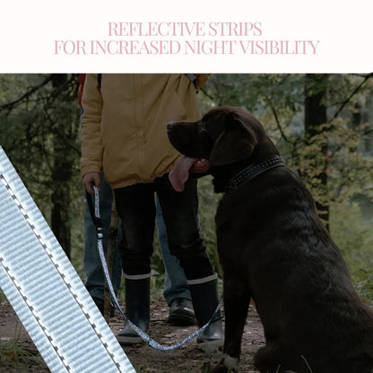 GentleStride Bungee Handsfree Leash