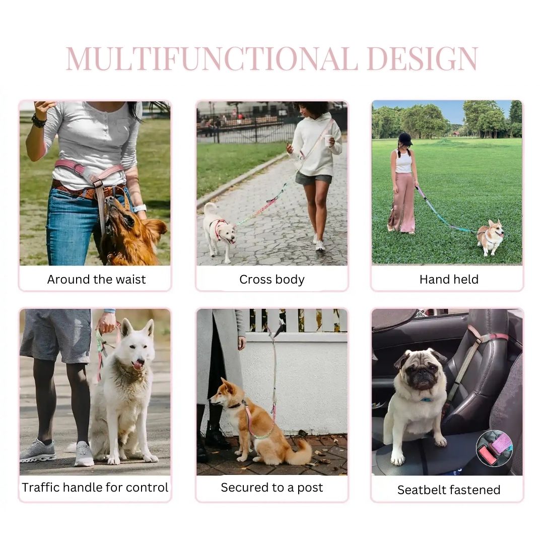 GentleStride Bungee Handsfree Leash