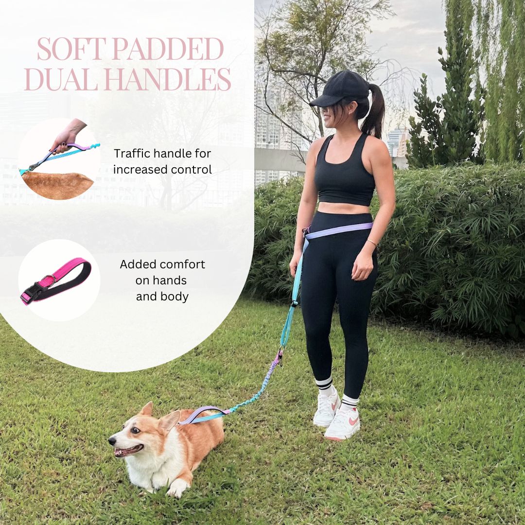 GentleStride Bungee Handsfree Leash