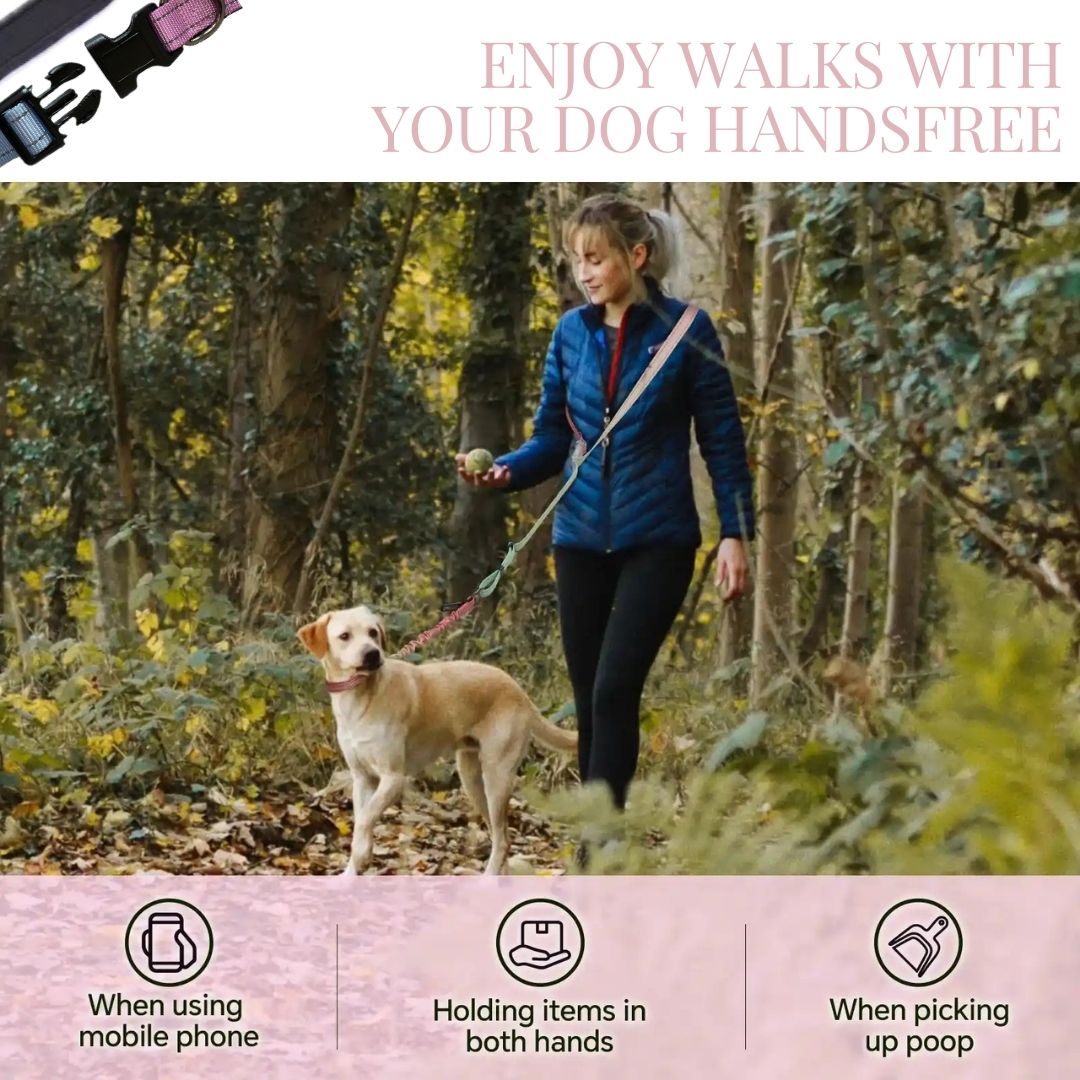 GentleStride Bungee Handsfree Leash