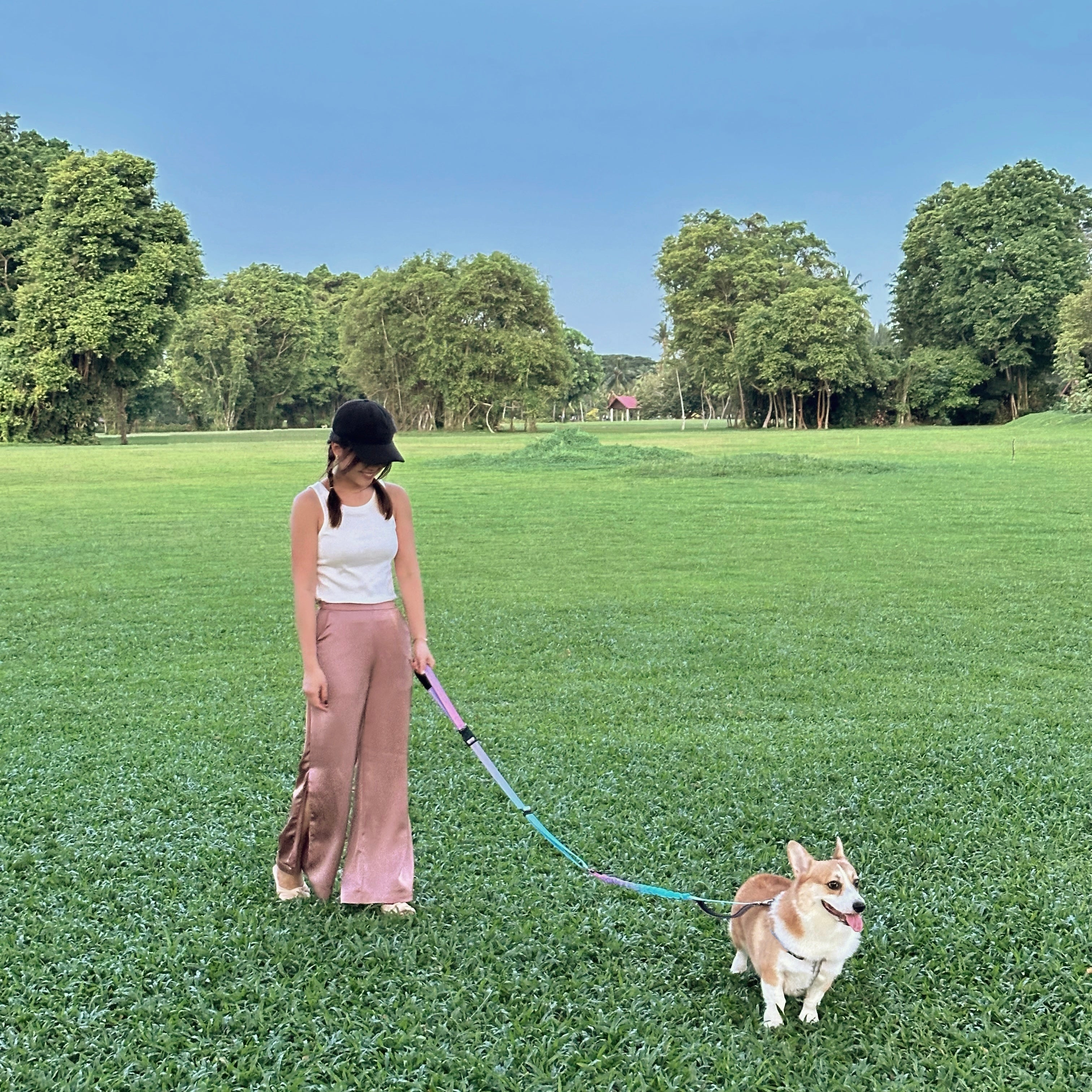 GentleStride Bungee Handsfree Leash