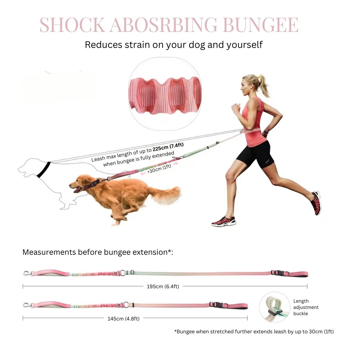 GentleStride Bungee Handsfree Leash