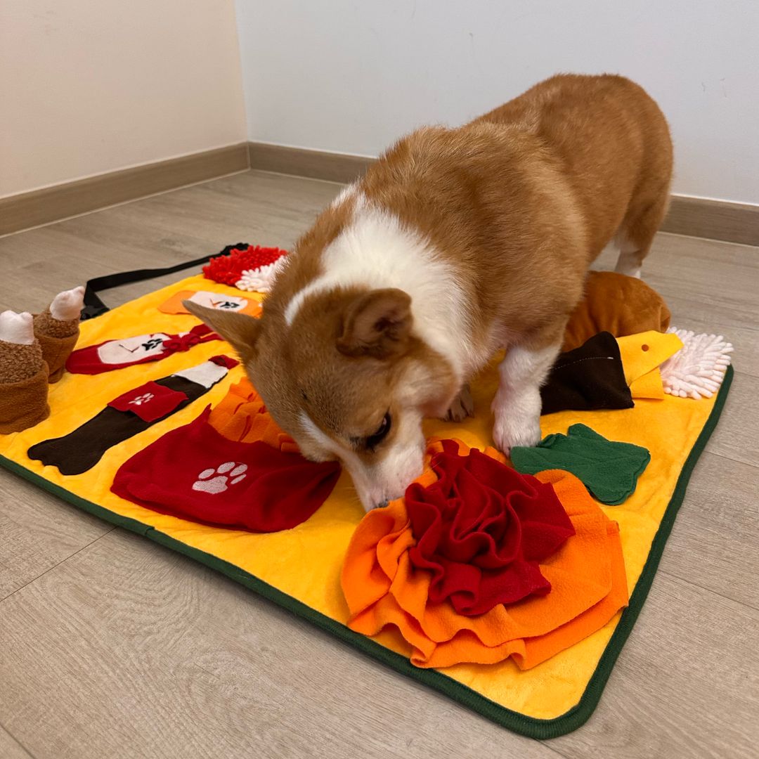 Hotdog McSnuffin Nosework Mat