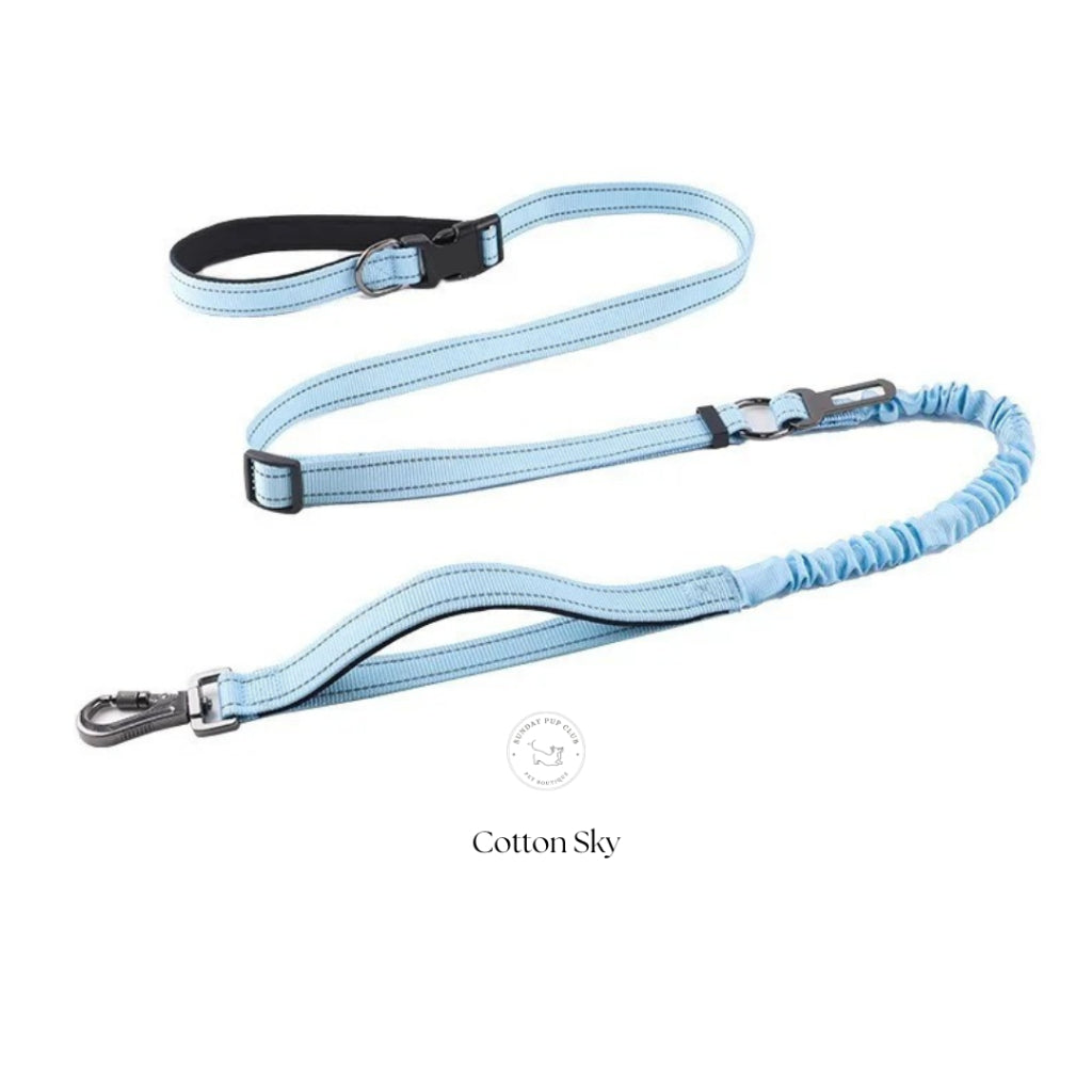 GentleStride Bungee Handsfree Leash