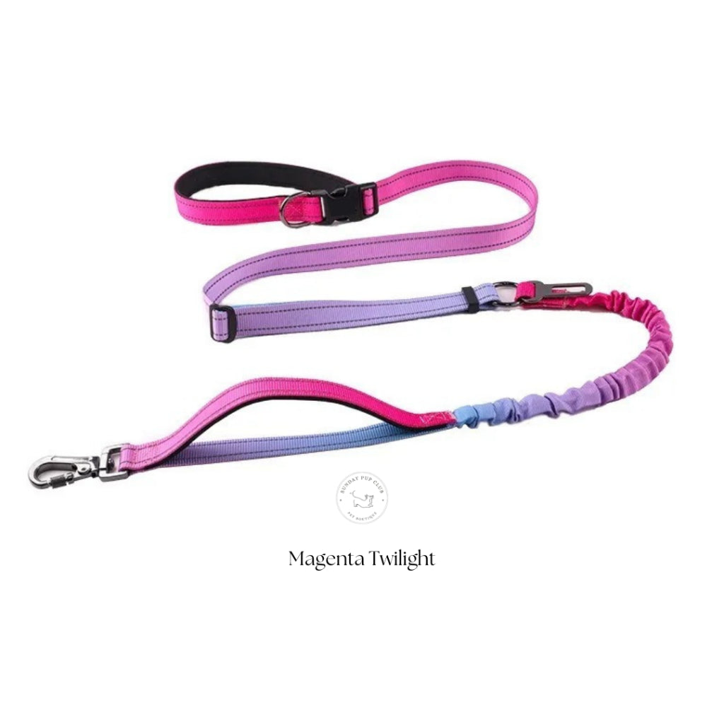 GentleStride Bungee Handsfree Leash