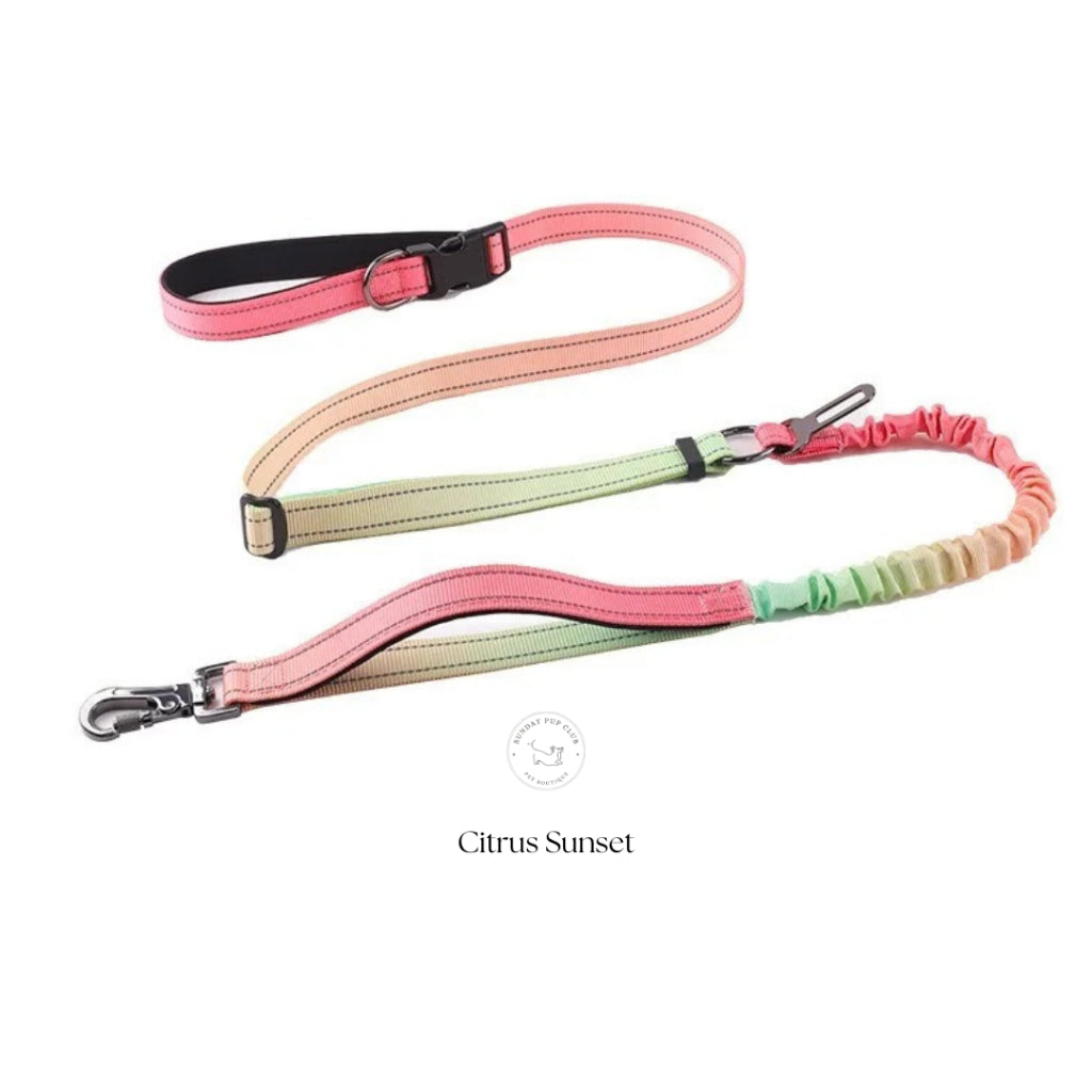 GentleStride Bungee Handsfree Leash
