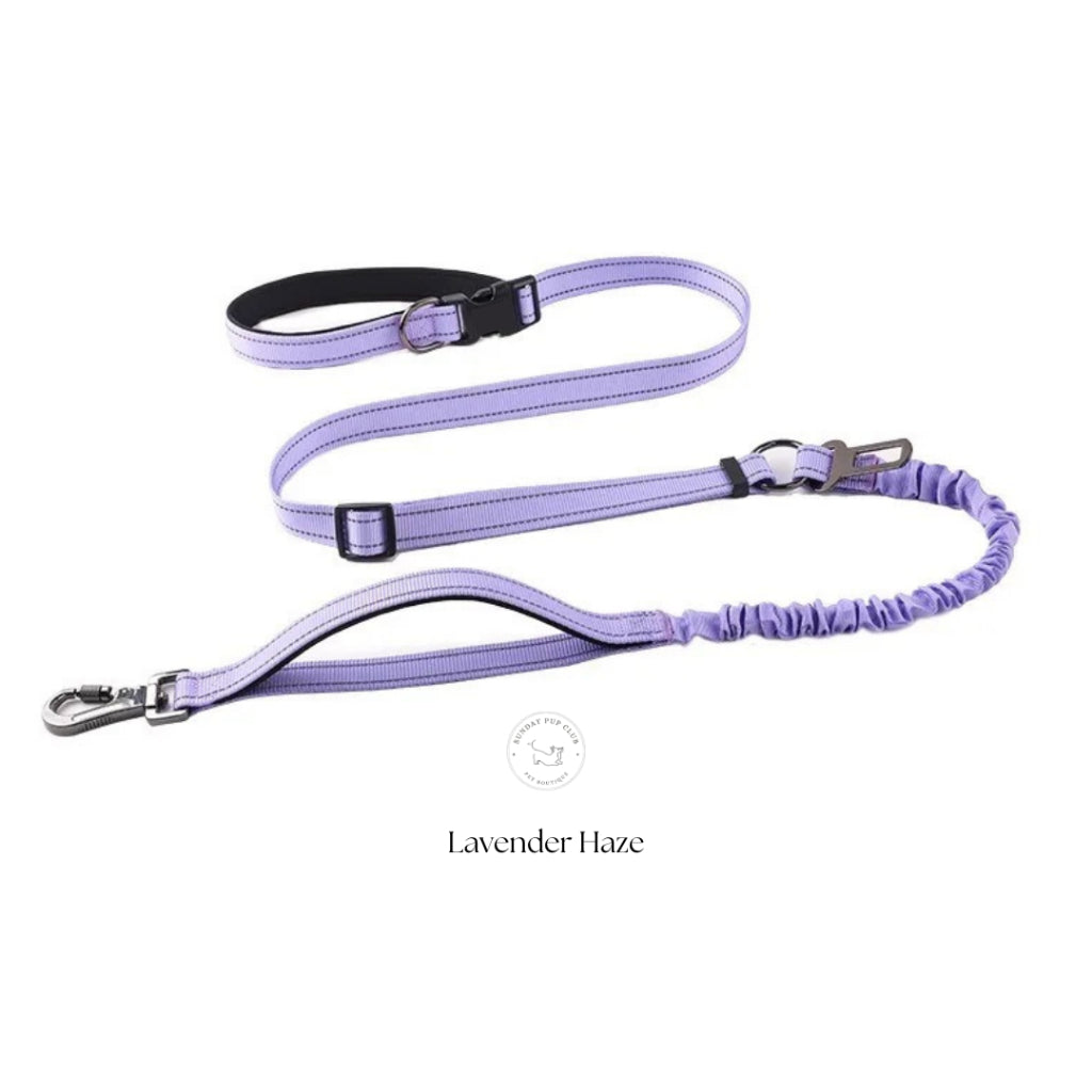 GentleStride Bungee Handsfree Leash