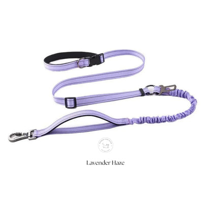 GentleStride Bungee Handsfree Leash